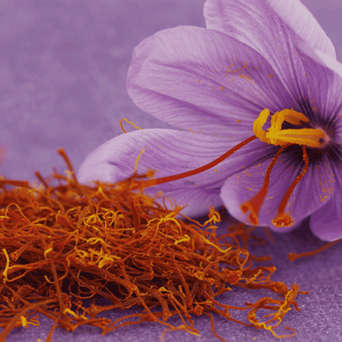 Crocus sativus