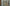 Video alt text